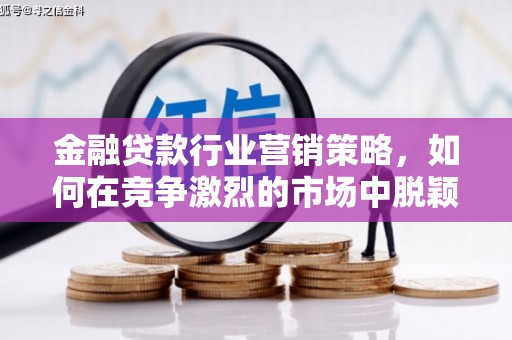 望谟金融贷款行业营销策略，如何在竞争激烈的市场中脱颖而出