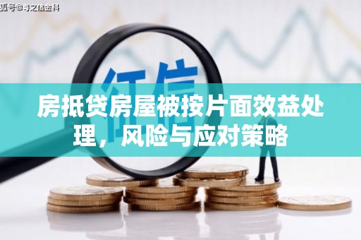 西华房抵贷房屋被按片面效益处理，风险与应对策略