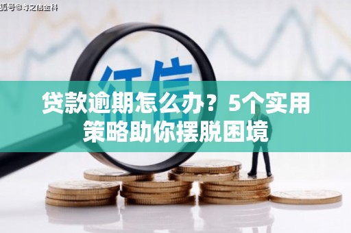 舞阳贷款逾期怎么办？5个实用策略助你摆脱困境