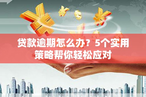 承德贷款逾期怎么办？5个实用策略帮你轻松应对