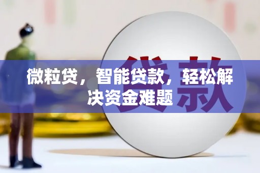 长岛微粒贷，智能贷款，轻松解决资金难题