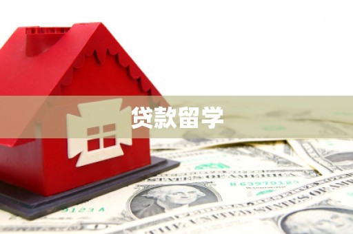 凤庆贷款留学