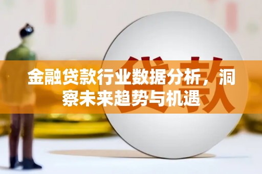 金峰金融贷款行业数据分析，洞察未来趋势与机遇