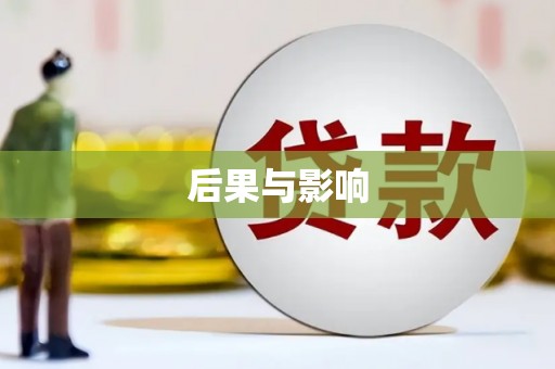 天全后果与影响