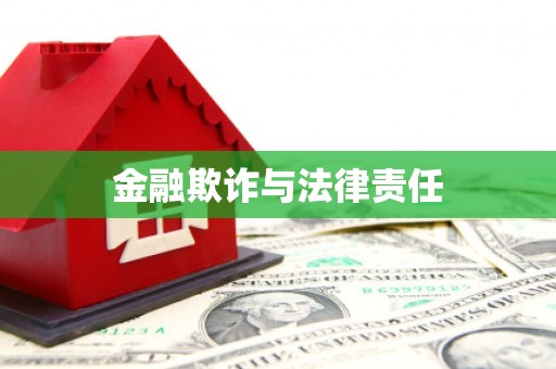 兴宁金融欺诈与法律责任