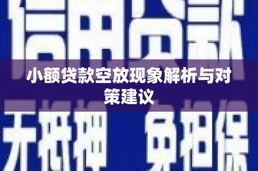 复兴小额贷款空放现象解析与对策建议