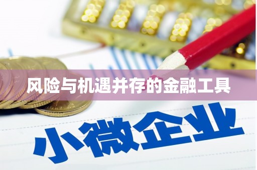 即墨风险与机遇并存的金融工具