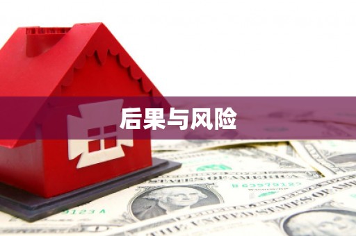 莫旗后果与风险