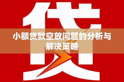 长洲小额贷款空放问题的分析与解决策略