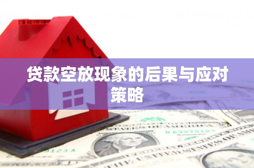 平乡贷款空放现象的后果与应对策略