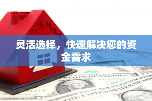 陇县灵活选择，快速解决您的资金需求