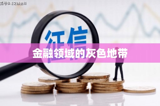 谢岗金融领域的灰色地带