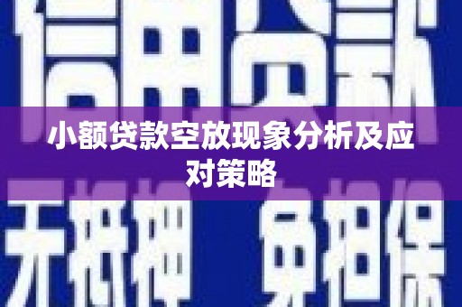 长乐小额贷款空放现象分析及应对策略