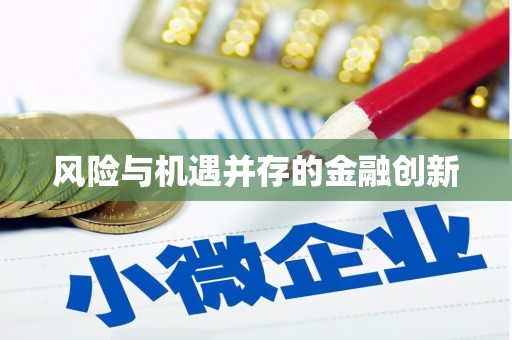 埔盐风险与机遇并存的金融创新