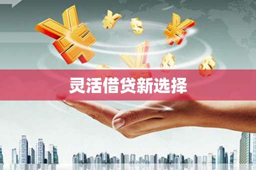 埔盐灵活借贷新选择