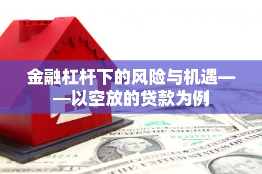 利通金融杠杆下的风险与机遇——以空放的贷款为例
