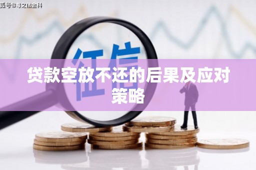 江东贷款空放不还的后果及应对策略