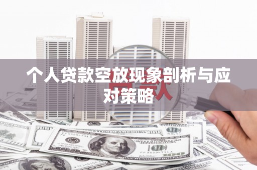 南长个人贷款空放现象剖析与应对策略