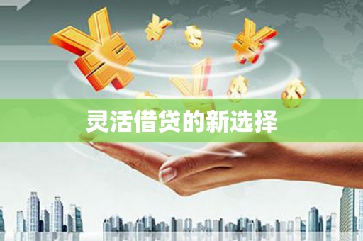 海城灵活借贷的新选择