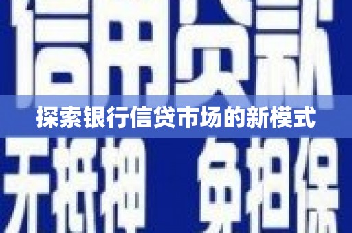 新龙探索银行信贷市场的新模式