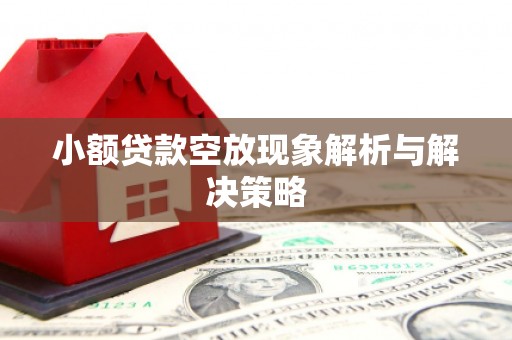 丰台小额贷款空放现象解析与解决策略