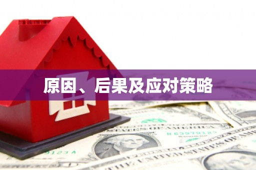神冈原因、后果及应对策略