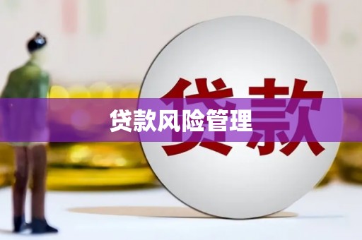 雁江贷款风险管理