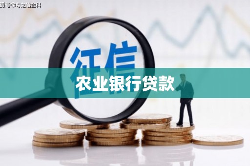 雁江农业银行贷款