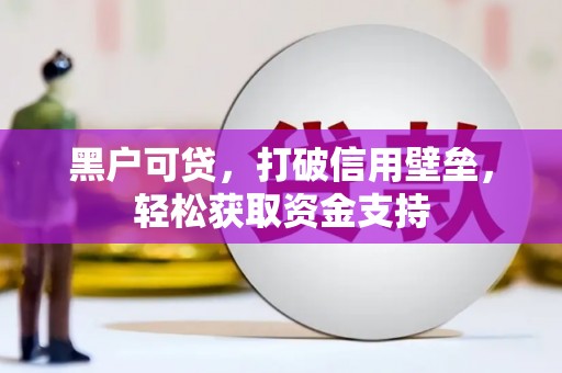 新野黑户可贷，打破信用壁垒，轻松获取资金支持