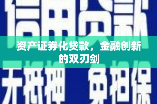 新野资产证券化贷款，金融创新的双刃剑