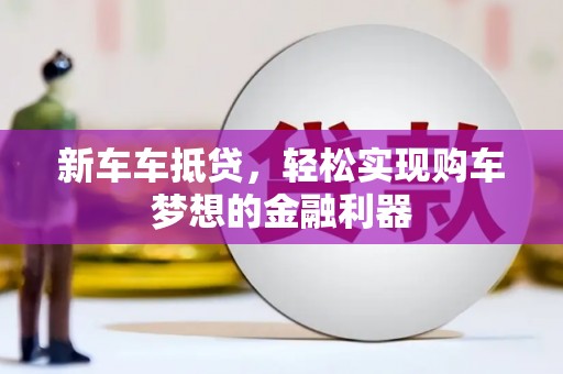 新野新车车抵贷，轻松实现购车梦想的金融利器