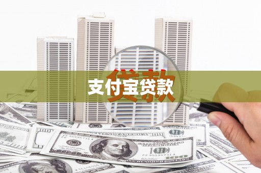 施甸支付宝贷款